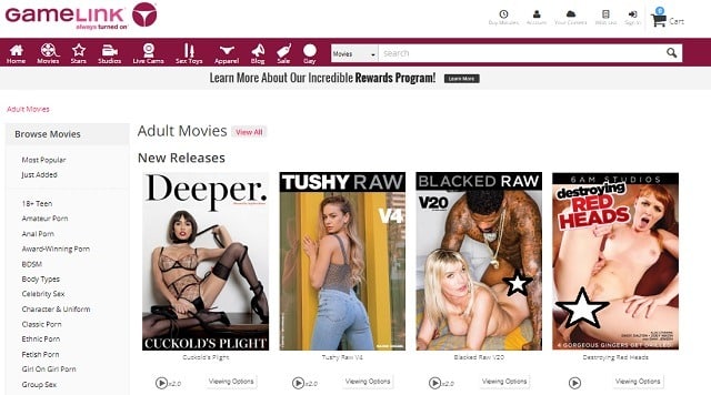 Best adult video on demand services game link