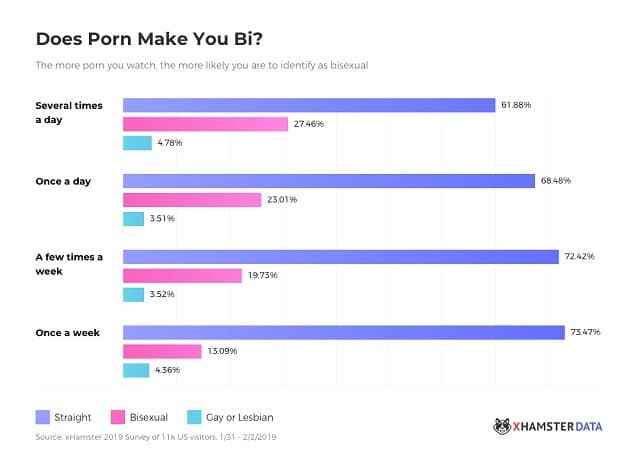 does porn make you bisexual