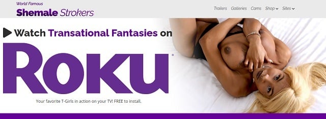 best porn channels on roku shemale strokers