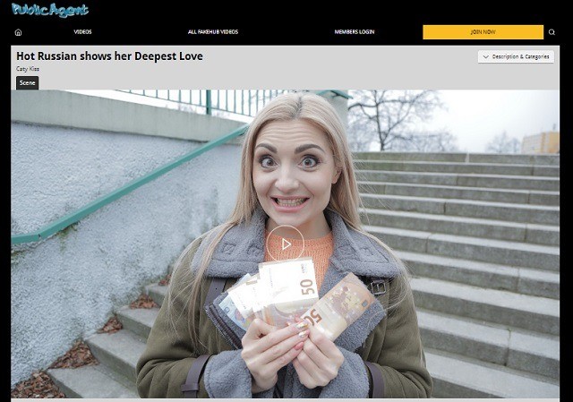 public agent (part of FakeHub)