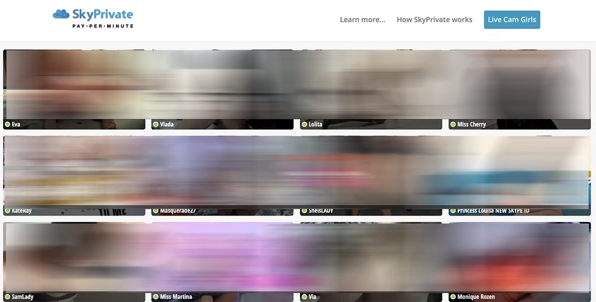 SkyPrivate sex on Skype
