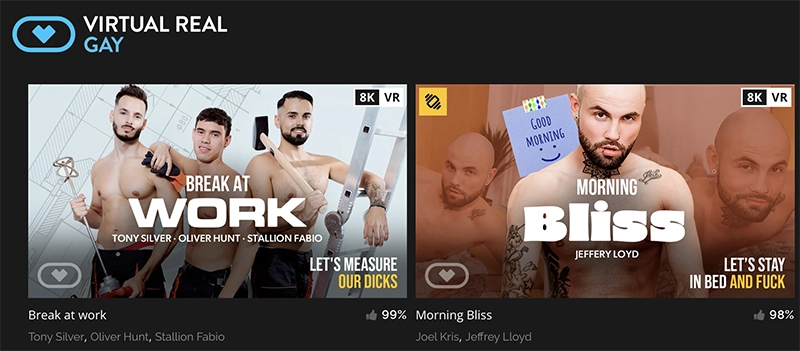 Virtual Real Gay homepage