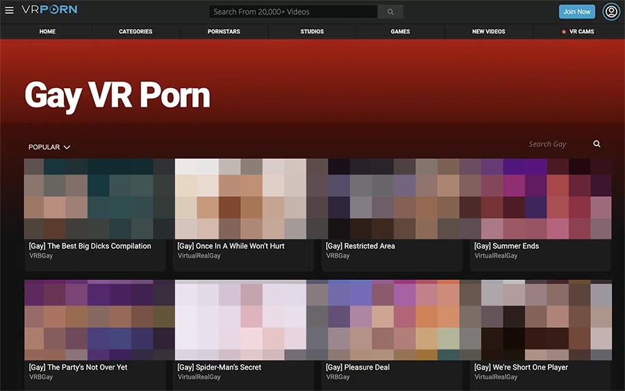 VRPorn gay section