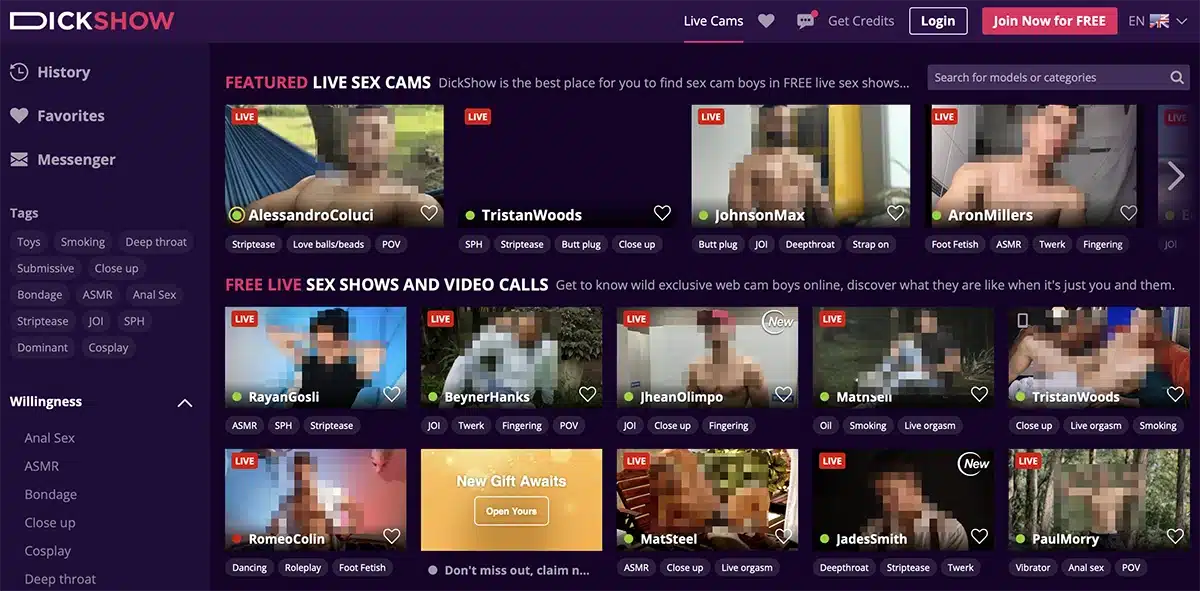 DickShow live gay cam site