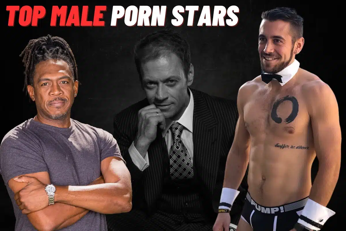 Current male porn stars