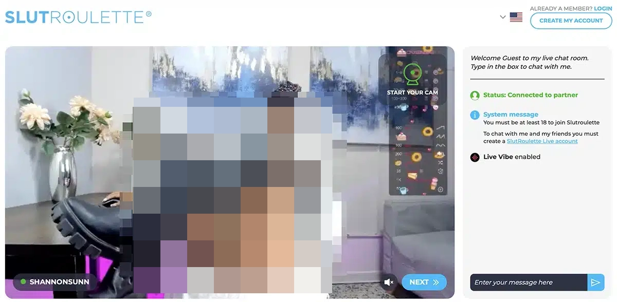 Slutroulette chat example