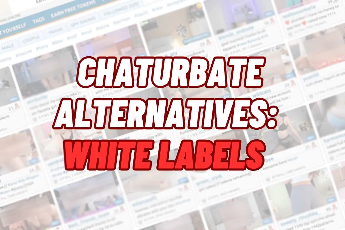 Chaturbate whitelabel alternatives