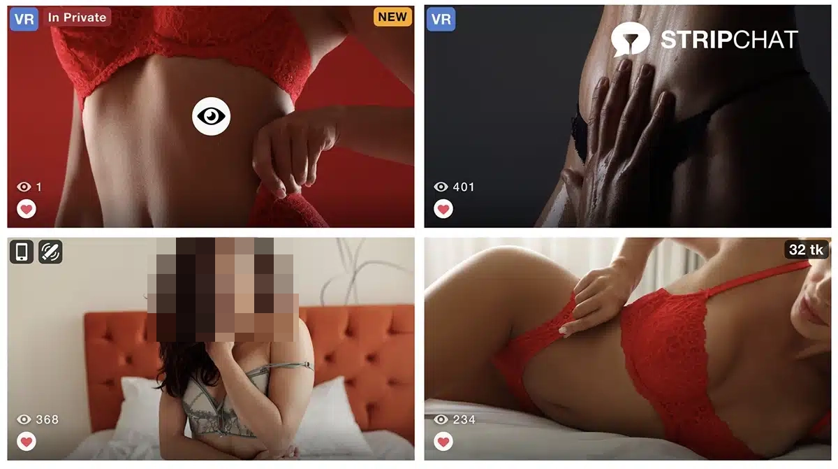 StripChat models canvas