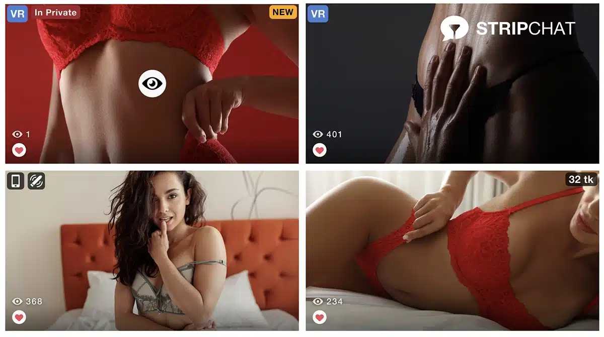 Types of StripChat live shows