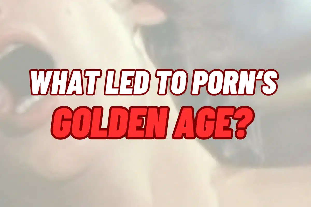 What led to Porn's Golden Age?