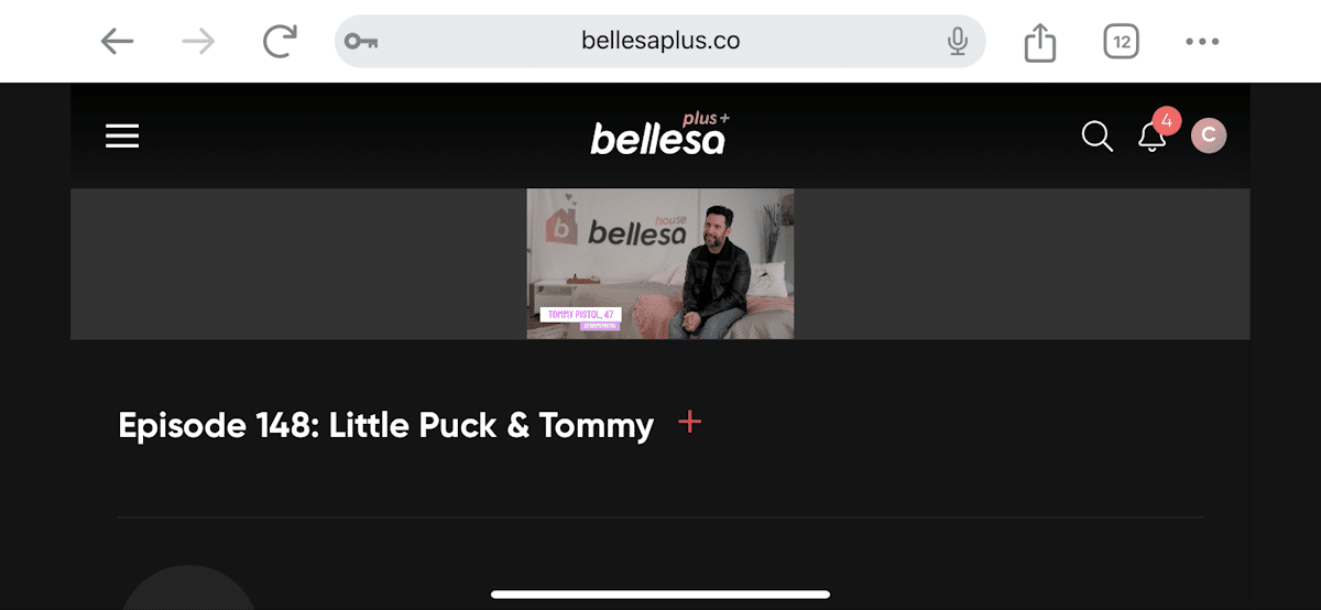 Mobile experience when we tried Bellesa Plus on mobile