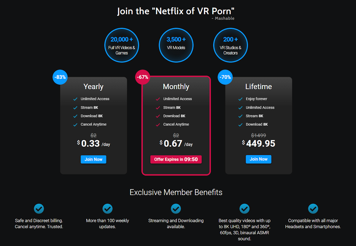 Netflix of VR Porn payment options