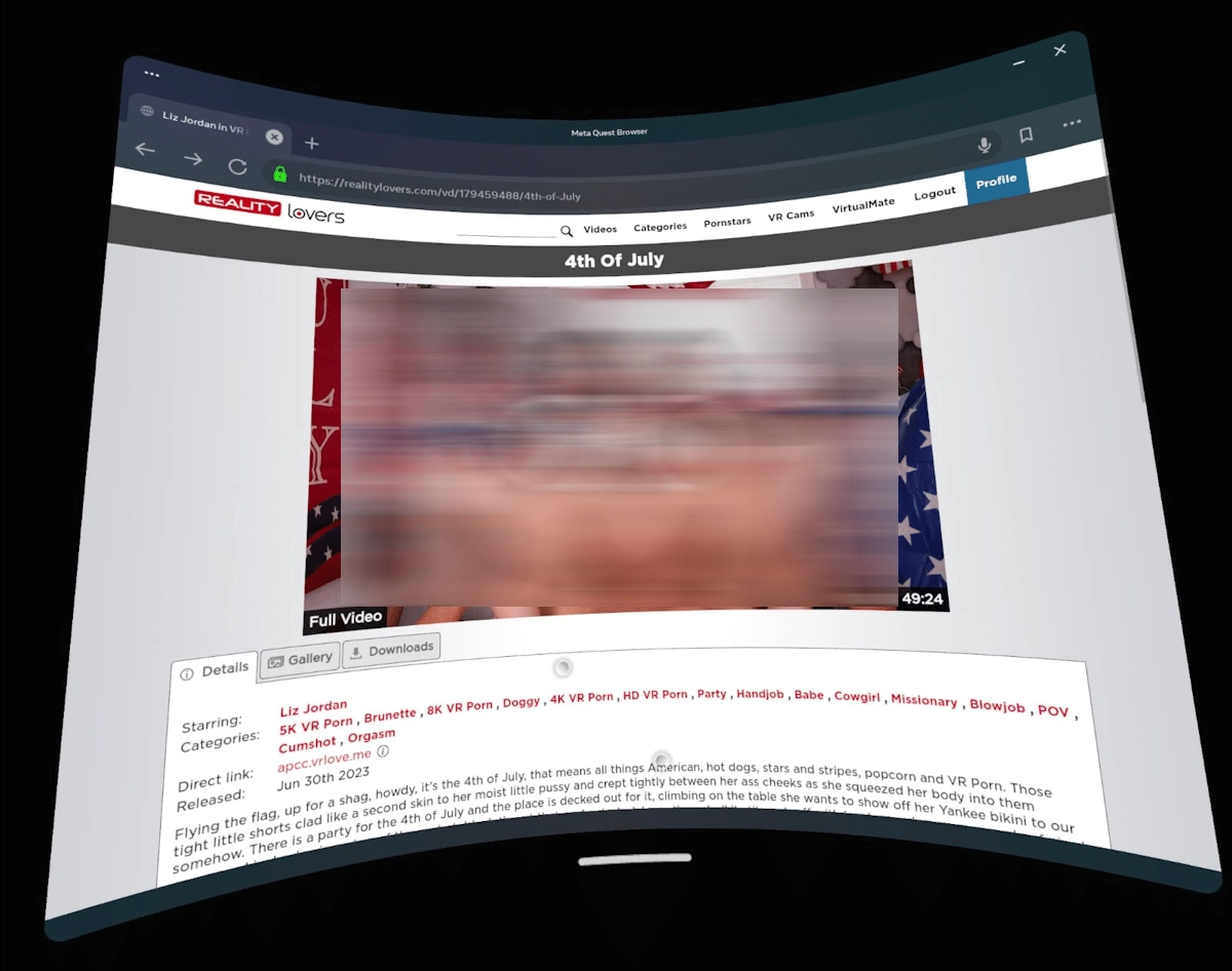 Reality Lovers headset view