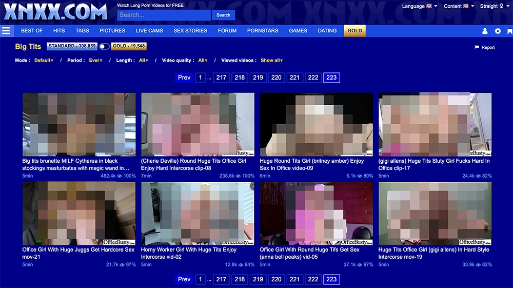 XNXX Big Tits category