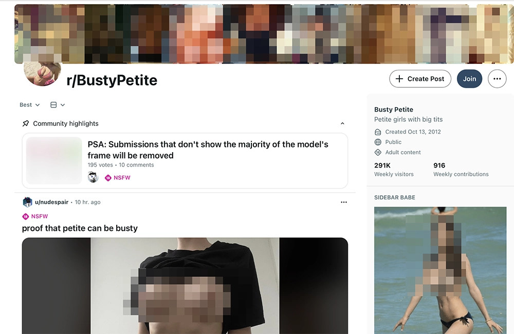 The Busty Petite Subreddit