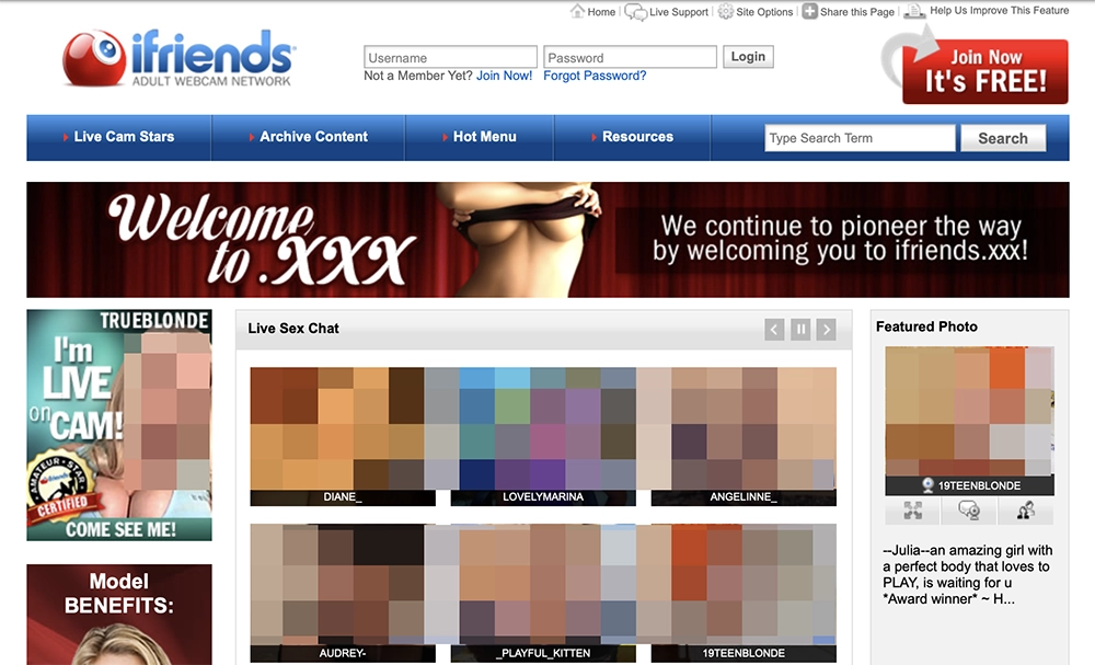 iFriends in 2011, a full decade after launch