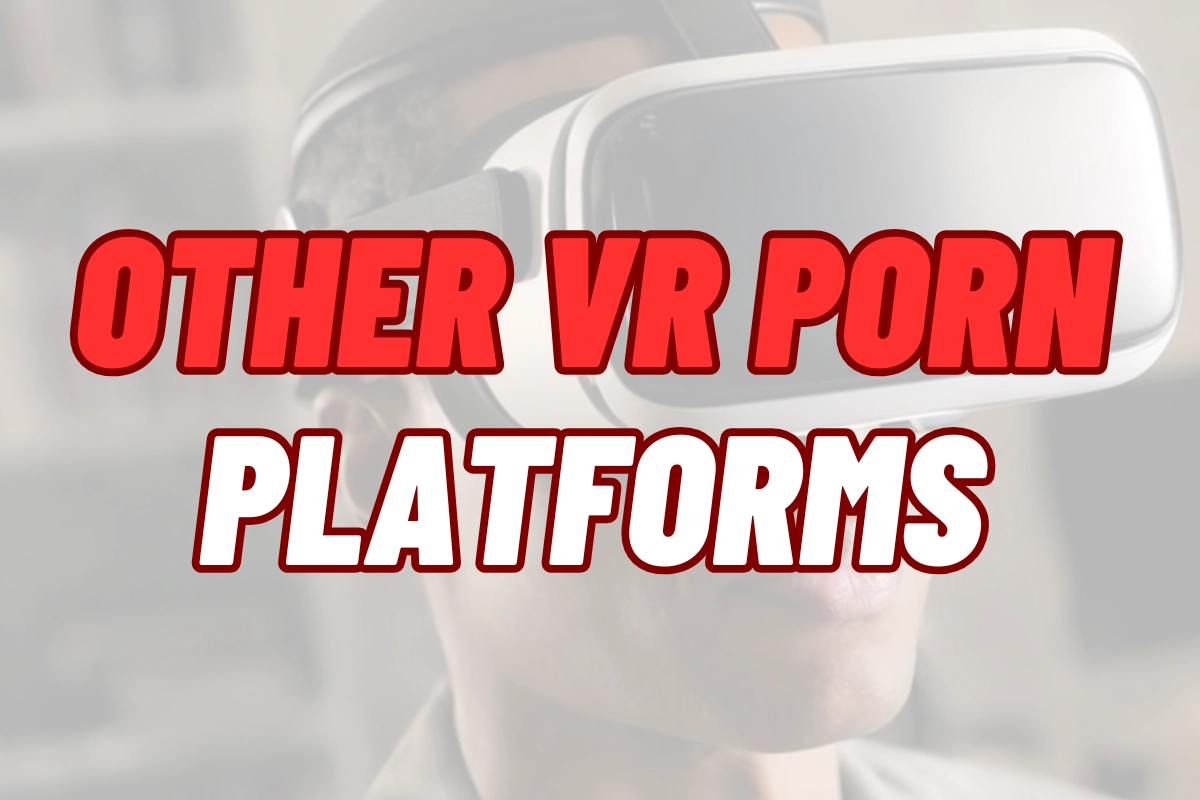 Other VR Porn Platforms
