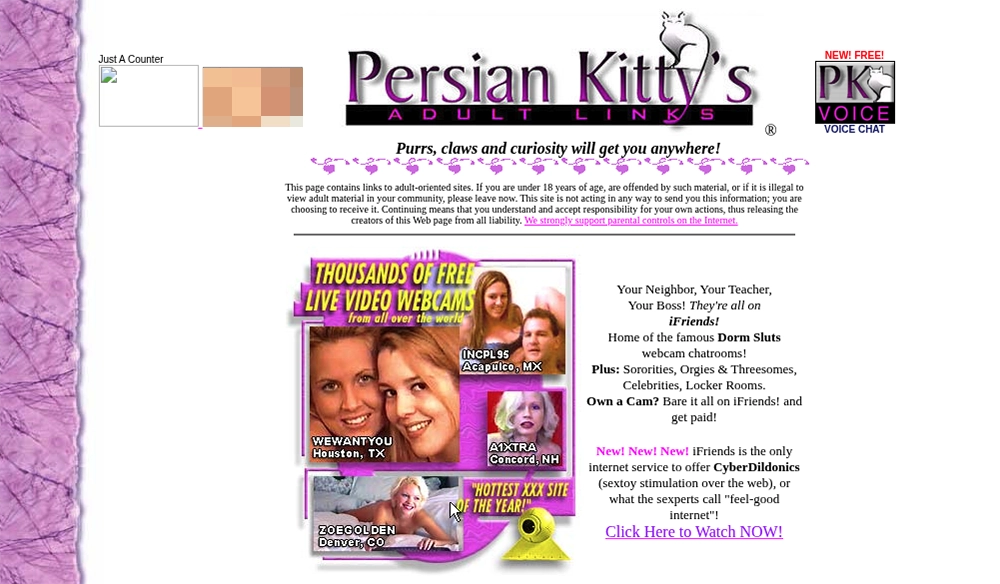 Persian Kitty