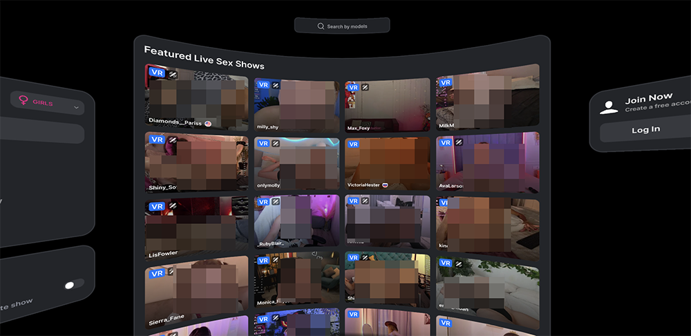 Stripchat VR on MetaQuest